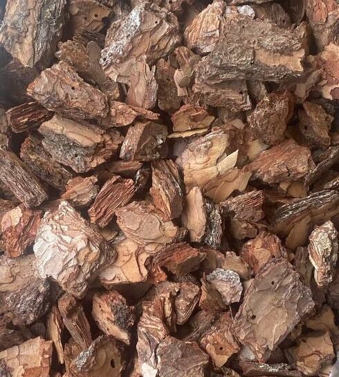 Premium priežu mizas mulča – rupjā frakcija 30–80mm (~60L)